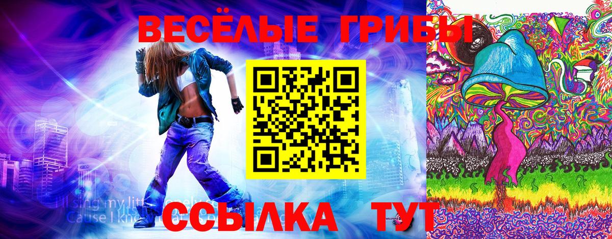 Псилоцибиновые грибы мицелий Донской